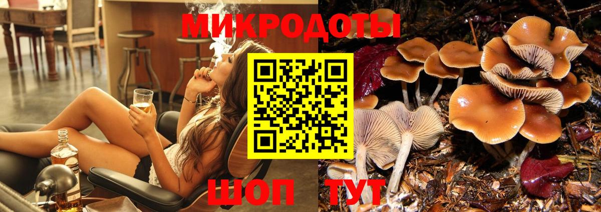Псилоцибиновые грибы Cubensis Бахчисарай